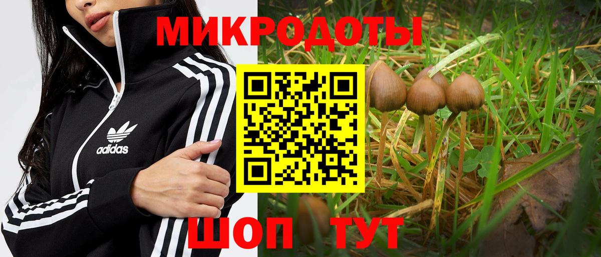 Краснокаменск  Галлюциногенные грибы ЛСД  Галлюциногенные грибы мухоморы  Вход с VPN 
